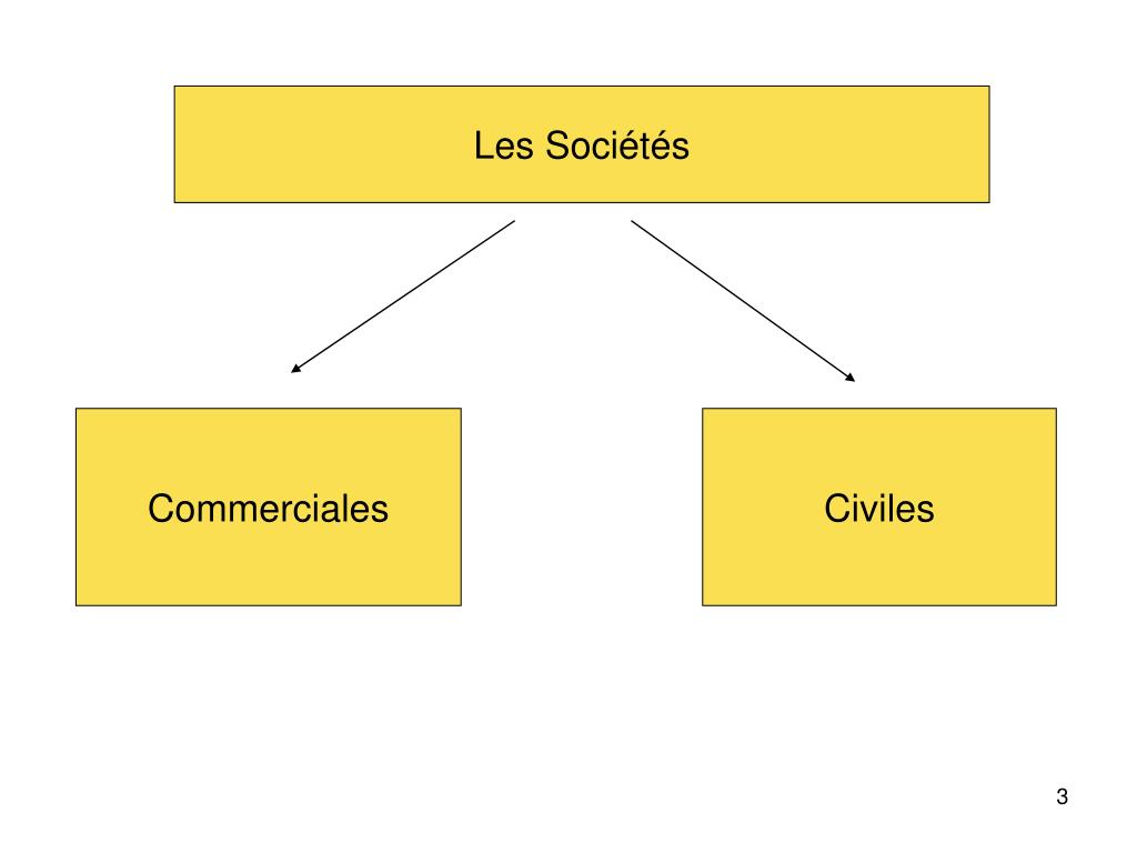 PPT LE DROIT DES SOCIETES PowerPoint Presentation Free Download ID 