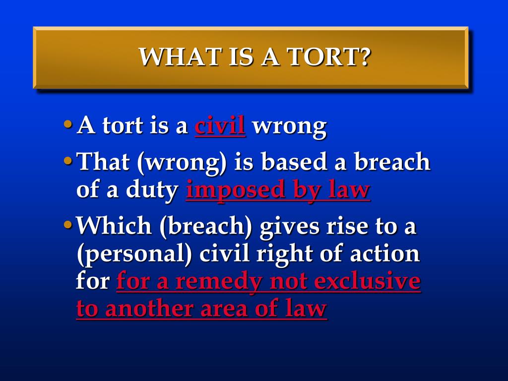 definition of tort law essay