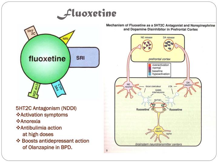 Fluoxetine Aggitation
