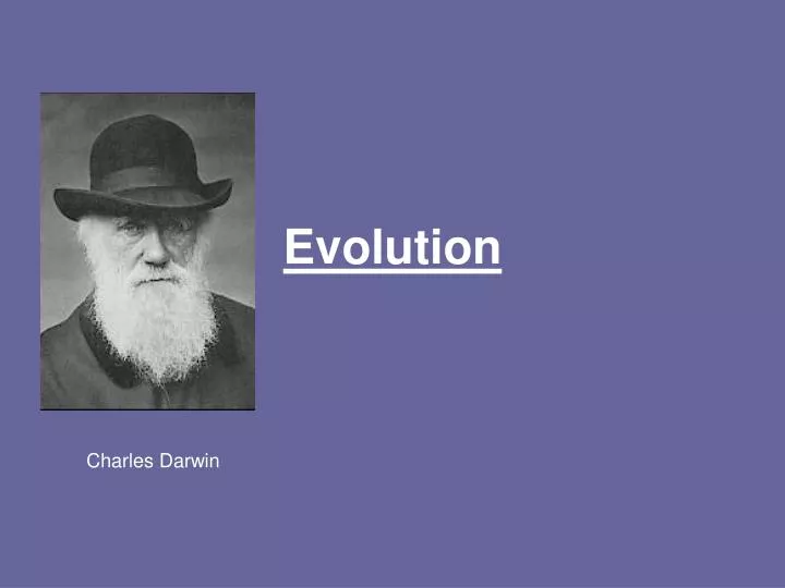 evolution n.