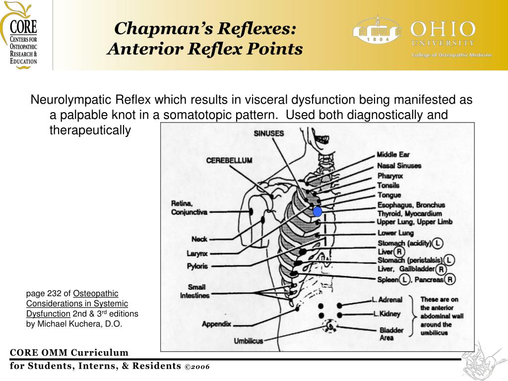 Chapman Reflexes Chart