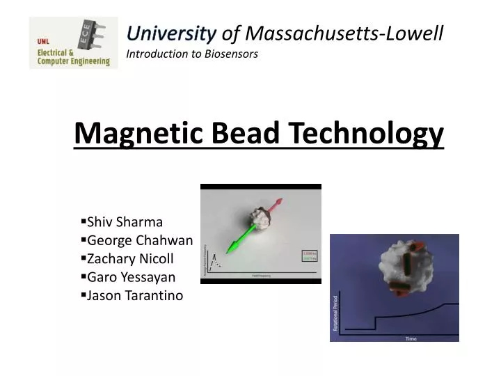 PPT - Magnetic Bead Technology PowerPoint Presentation, free download ...