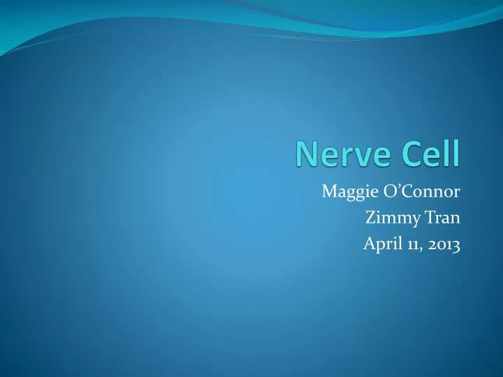 Importance Of Nerve Cells