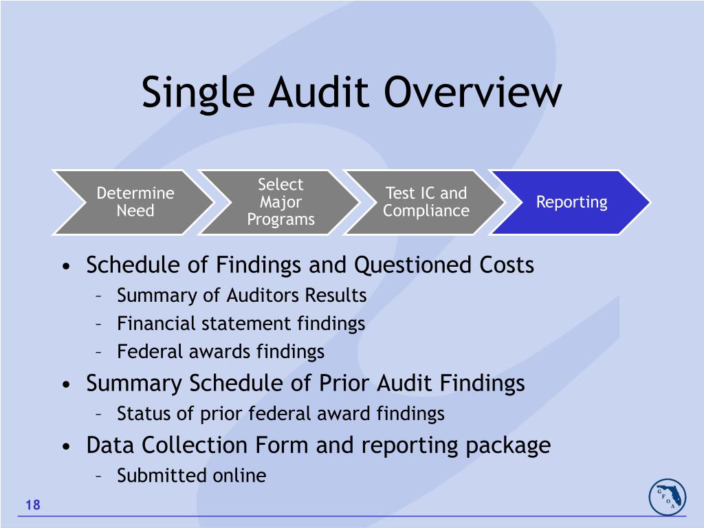 PPT Single Audit Guidelines PowerPoint Presentation, free download