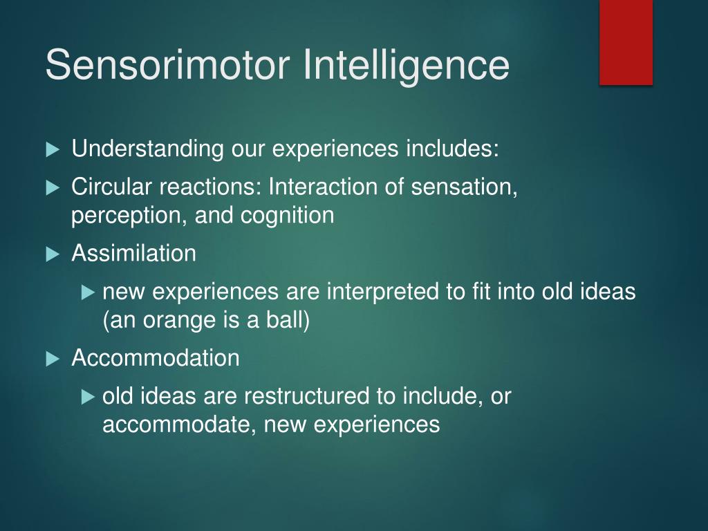 Piaget's stages of sensorimotor intelligence top