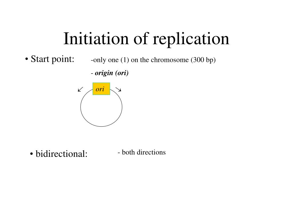 PPT - The Central Dogma of Molecular Biology PowerPoint Presentation ...
