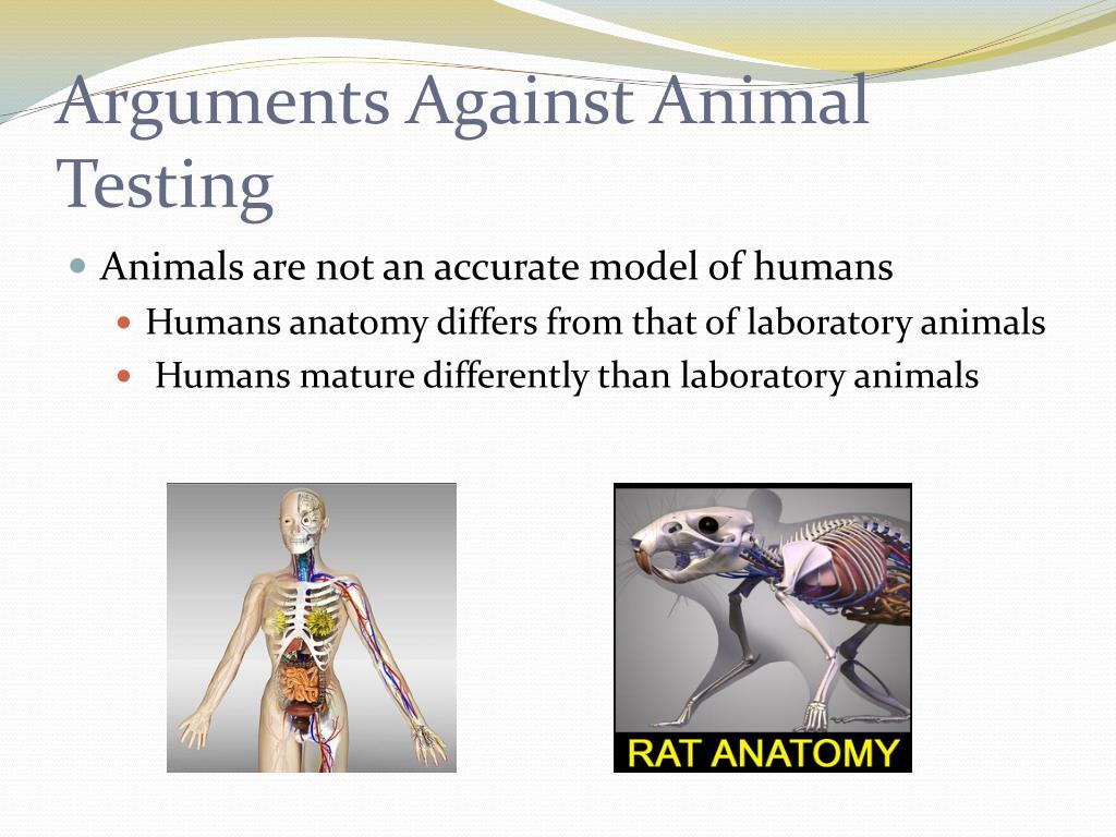 Animal essay. Animal Testing for and against. Arguments for animal Testing. Animal Testing should be banned презентация. Animal Testing should be banned.