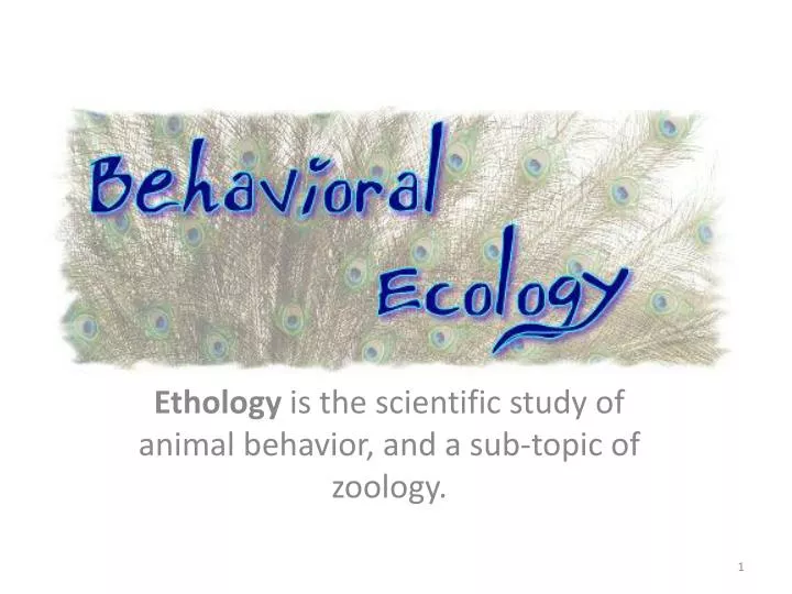 Ppt - Ethology Is The Scientific Study Of Animal Behavior, And A Sub 