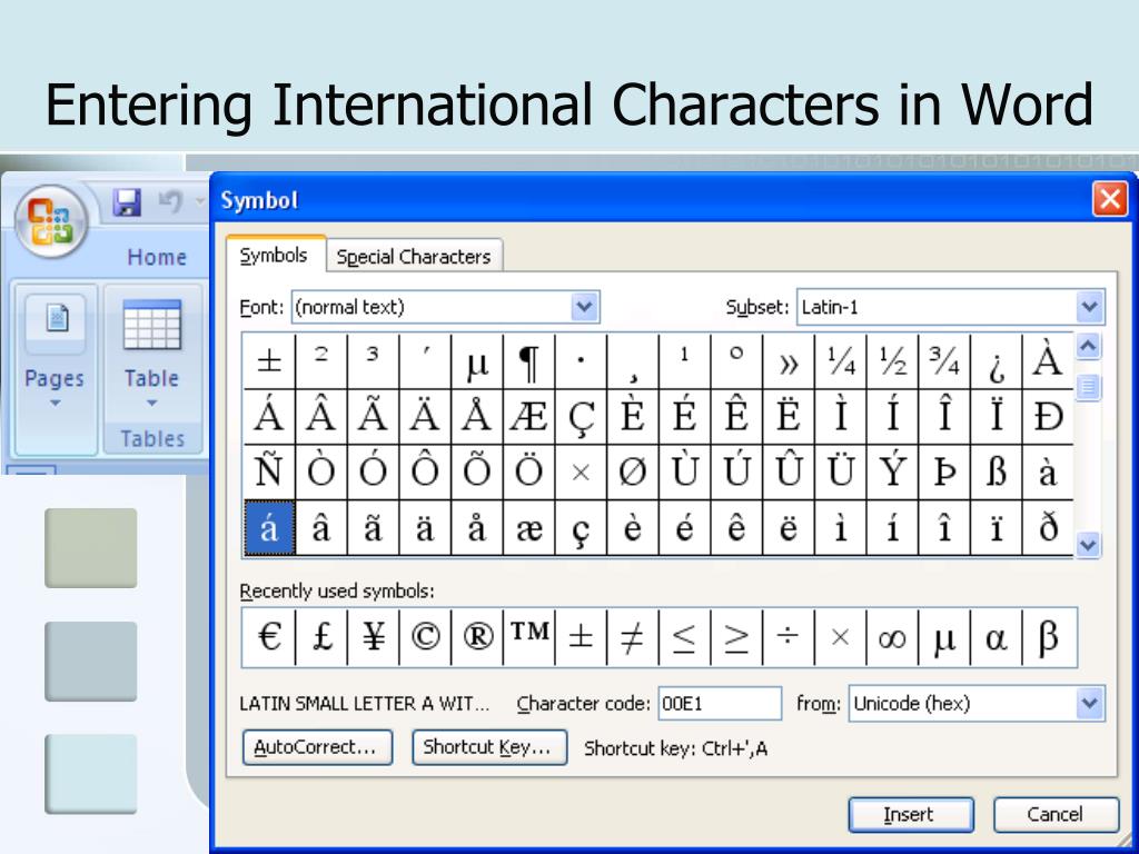 PPT The User Connection PowerPoint Presentation, free download ID3057528