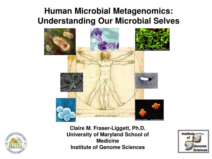 PPT - Human Microbial Metagenomics: Understanding Our Microbial Selves ...