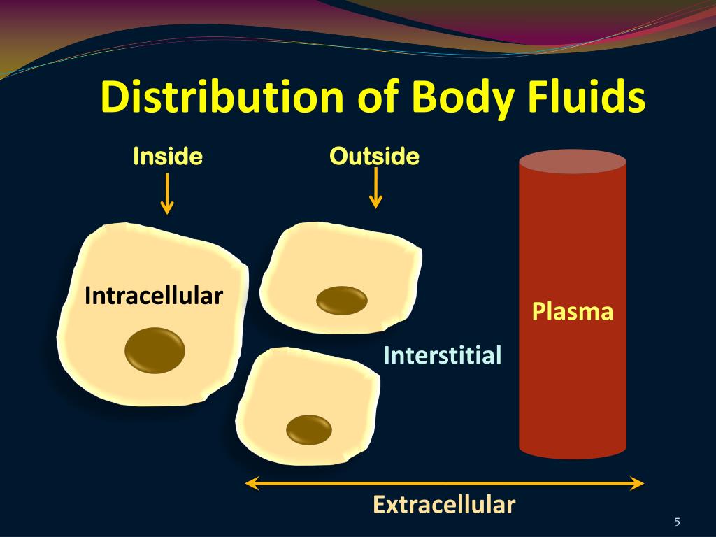 diagram intracellular extracellular body fluid compartments