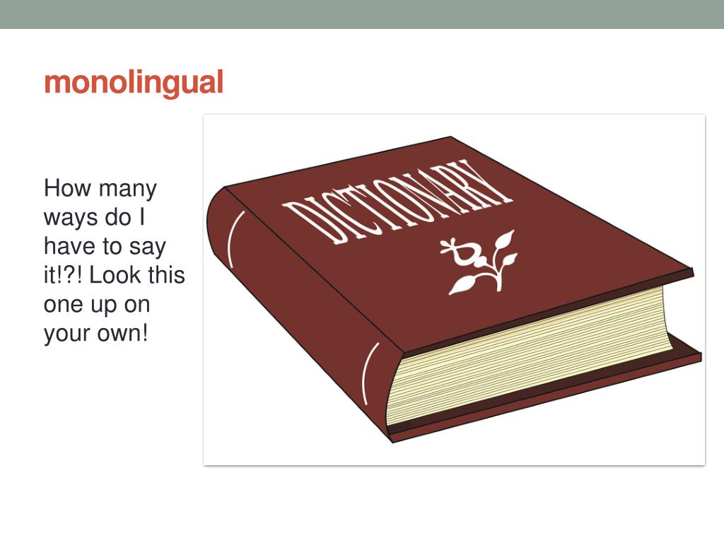 monolingual definition monolingual definition