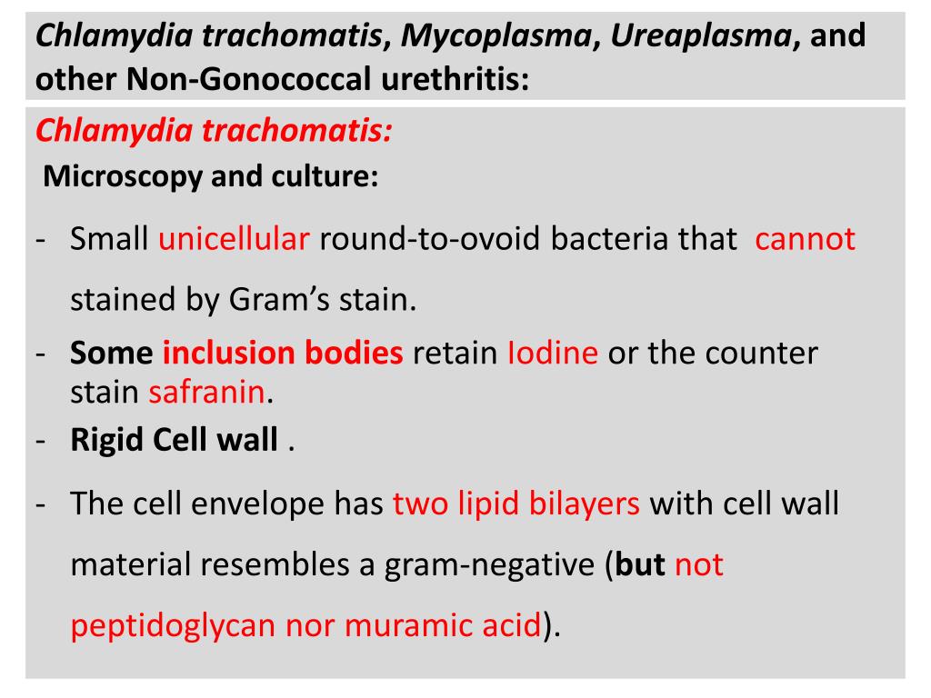 gonococcal urethritis in men