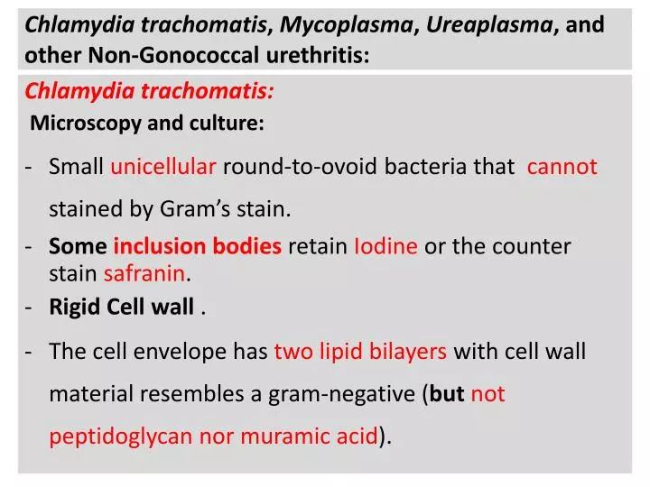 non gonorrheal urethritis male