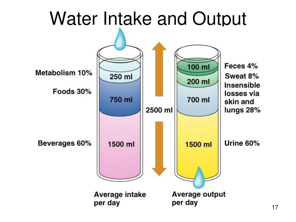 PPT Fluid Electrolyte And Acid Base Balance PowerPoint Presentation 