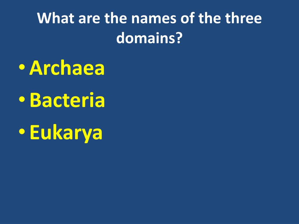 Which Level Of Classification Contains Orders But Is Smaller Than Phylum? PPT - TAXONOMY, BACTERIA AND VIRUSES REVIEW PowerPoint Presentation