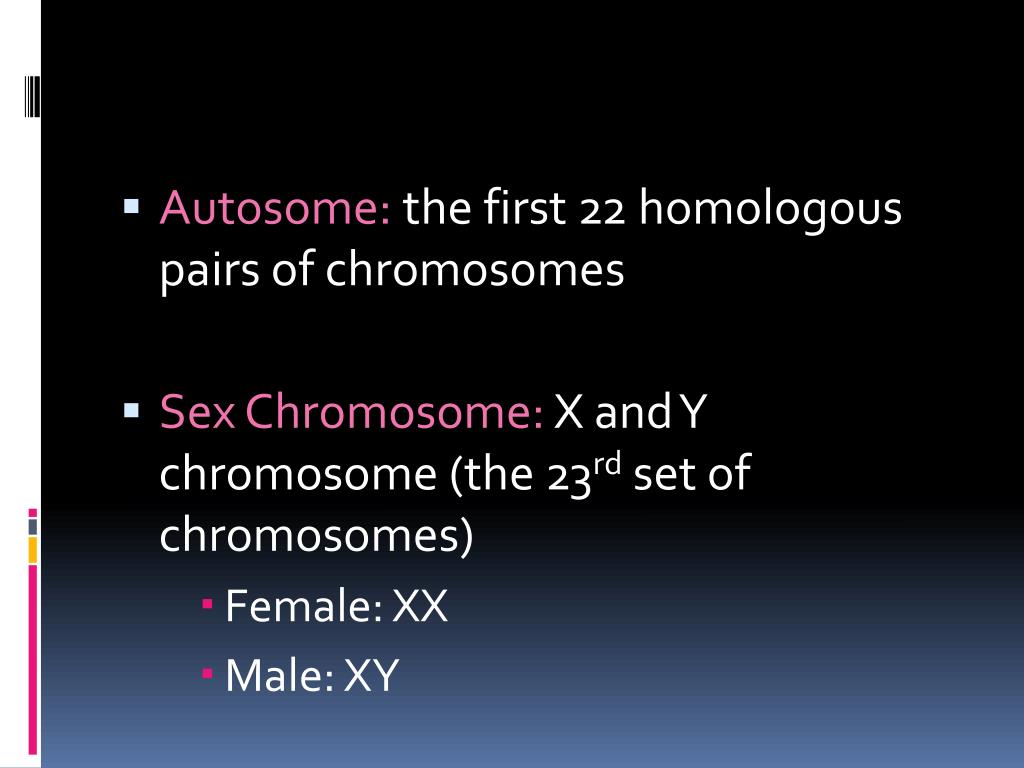 Ppt Sex Chromosomes Powerpoint Presentation Free Download Id 3063835