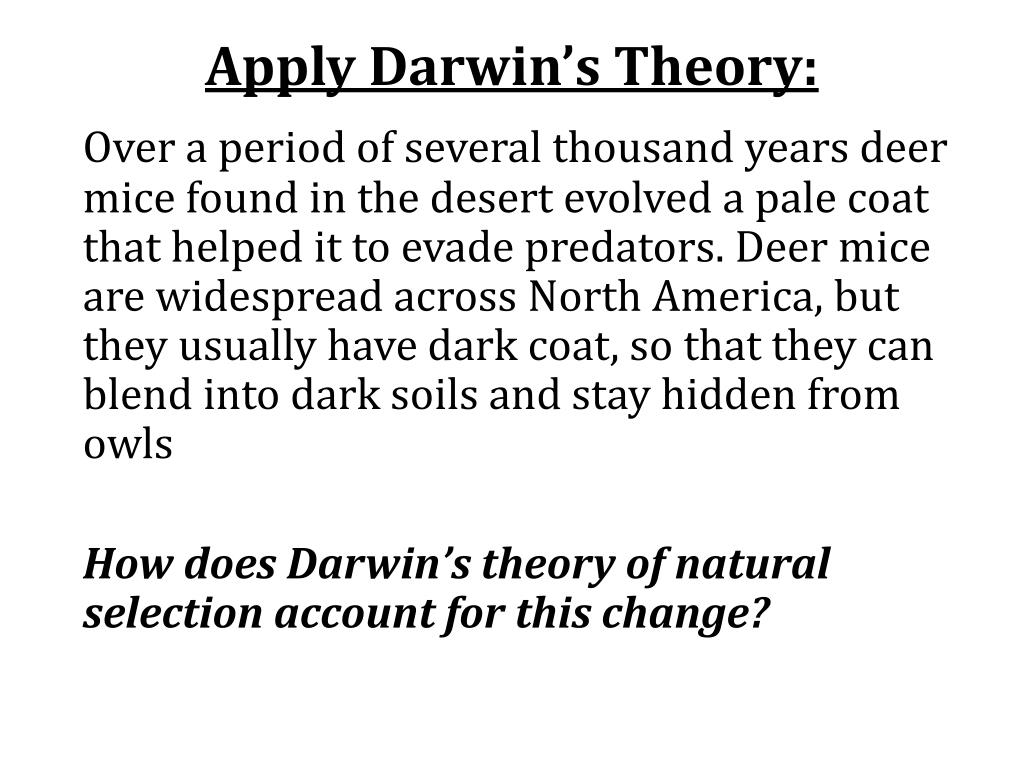 darwin ortiz annotated erdnase darwin ortiz annotated erdnase