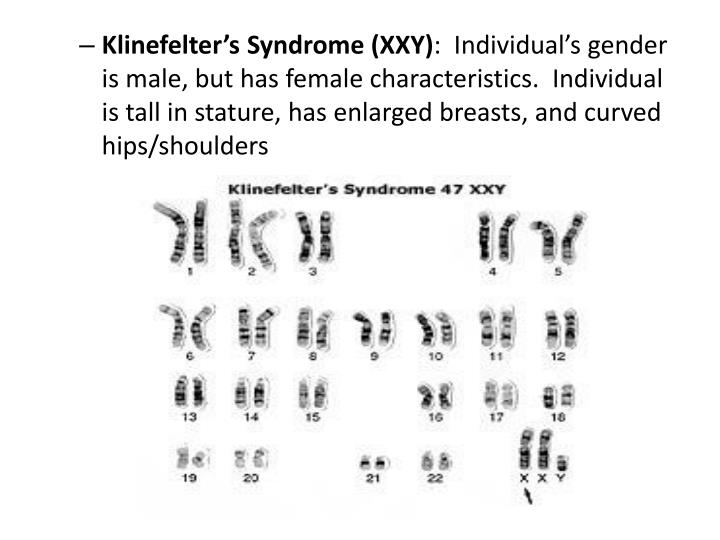 Ppt Genetic Disorders Karyotypes And Pedigrees