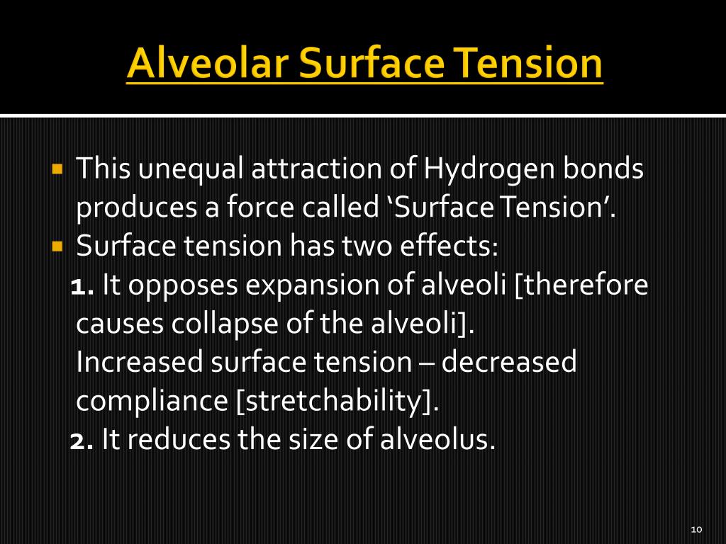 PPT Elasticity of Lungs, Compliance, Alveolar Surface Tension