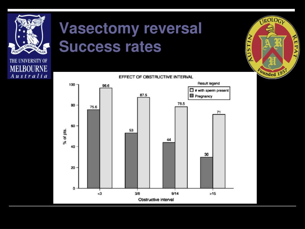 Ppt Vasectomy Reversal Powerpoint Presentation Free Download Id3064908 