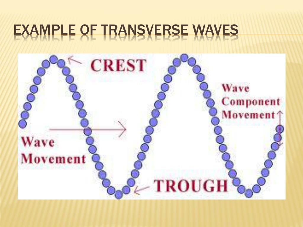 PPT Waves Sound And Light PowerPoint Presentation Free Download PPT Waves Sound And Light PowerPoint Presentation Free Download