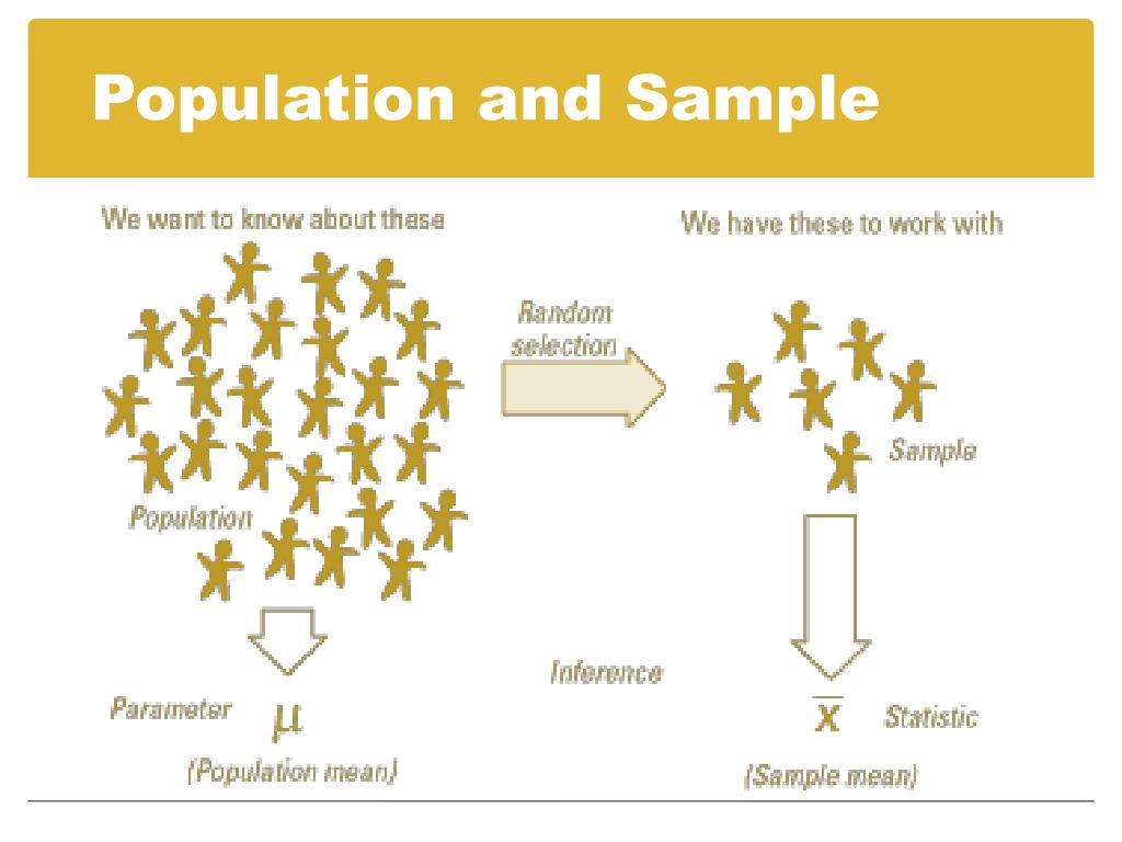 Ppt data management powerpoint presentation free download id 3065611