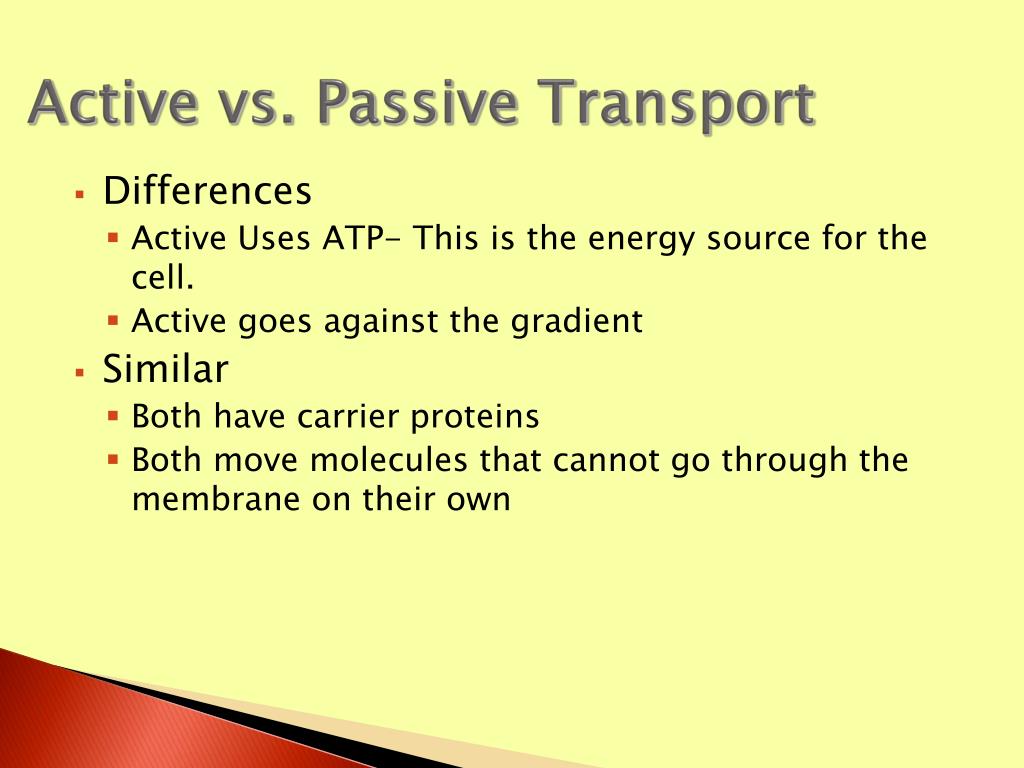 PPT Types of Solutions Facilitated Diffusion Active Transport
