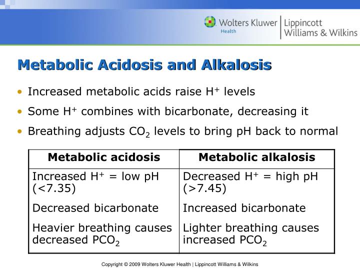 PPT - Chapter 6 Disorders of Fluid, Electrolyte, and Acid-Base Balance ...