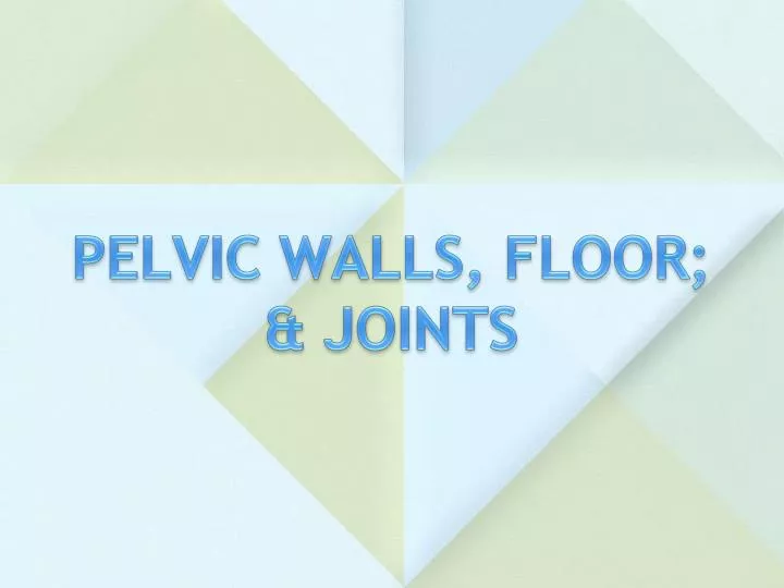 pelvic walls floor joints n.