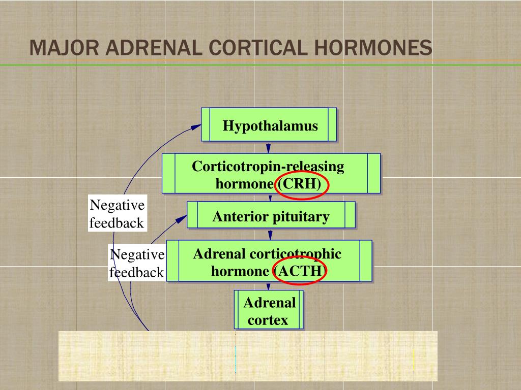 cortical hormone function