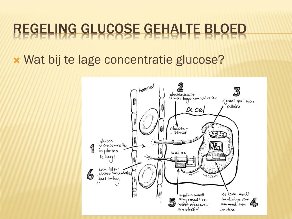 PPT - 8. Meet- en regeltechniek, een proces besturen PowerPoint