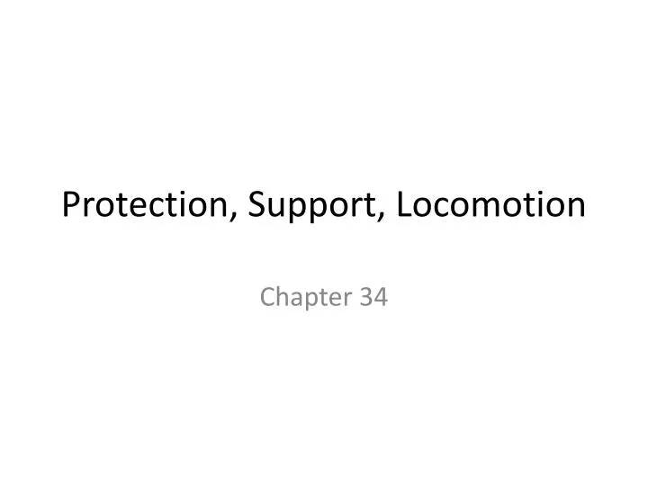 protection support locomotion n.