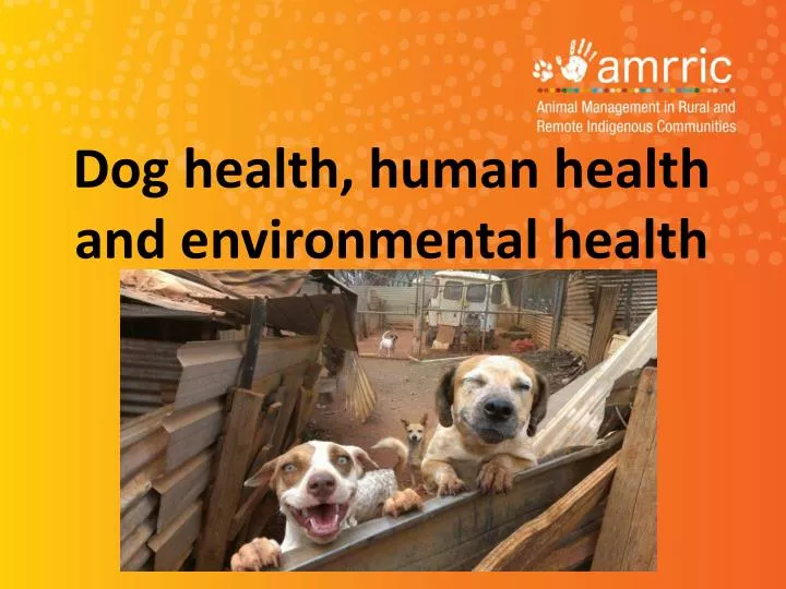 dog health human health and environmental health n.