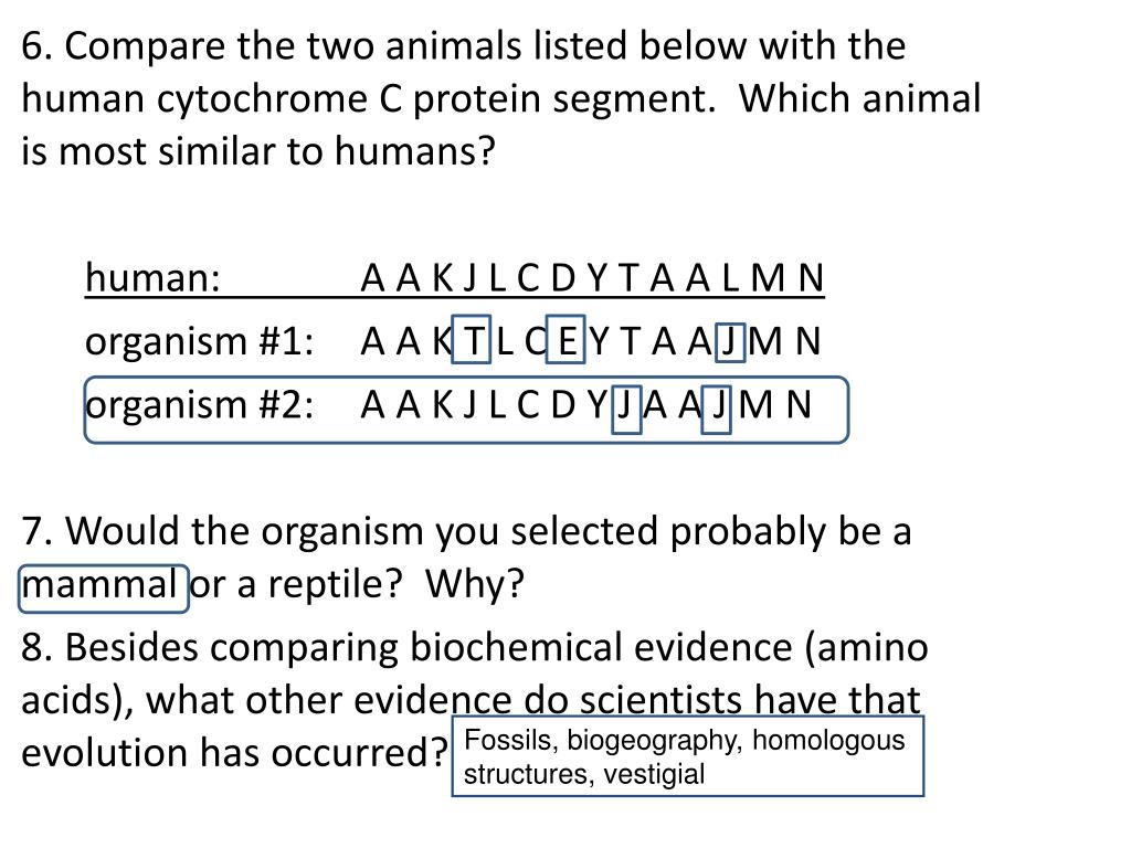 PPT Living things produce more offspring than will survive. There is variation among the