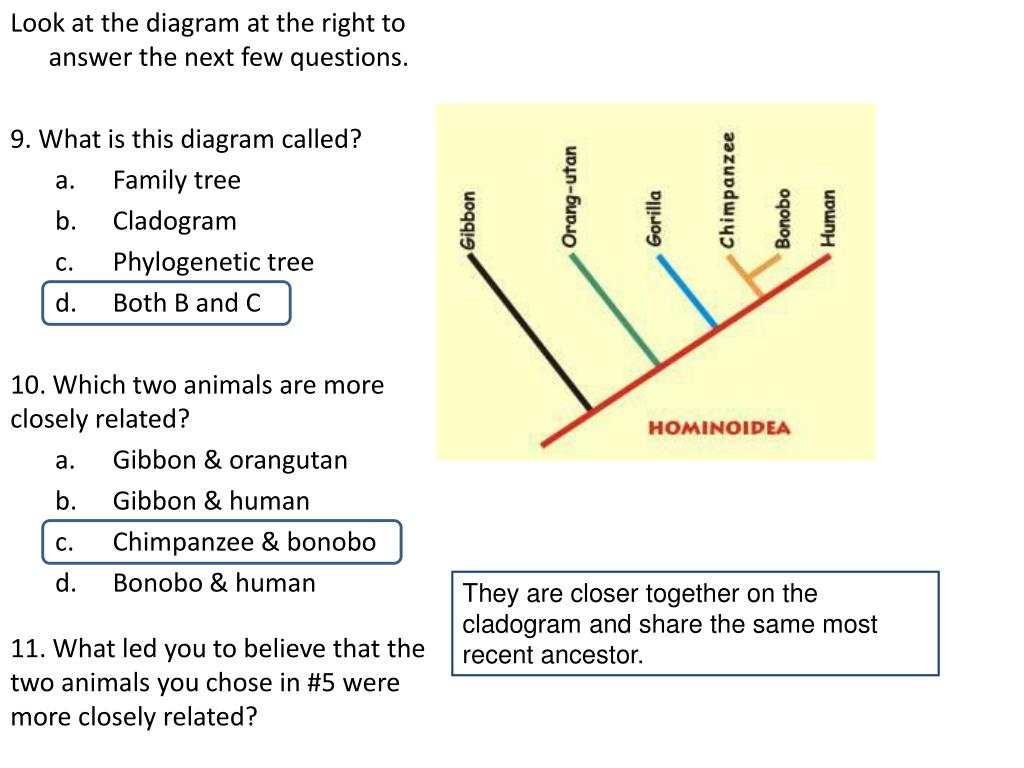 PPT Living things produce more offspring than will survive. There is variation among the