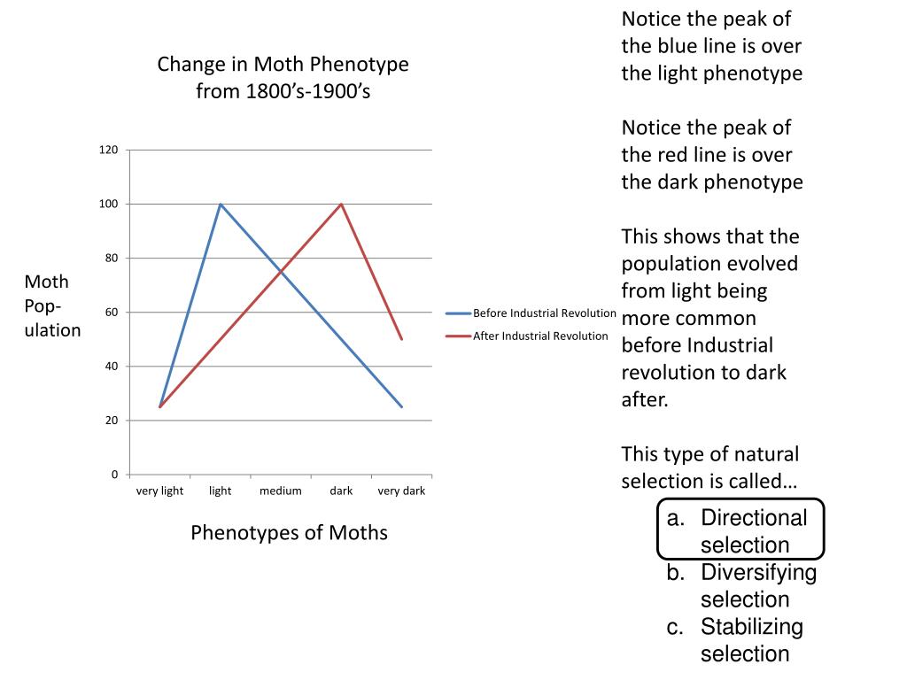 PPT Living things produce more offspring than will survive. There is variation among the