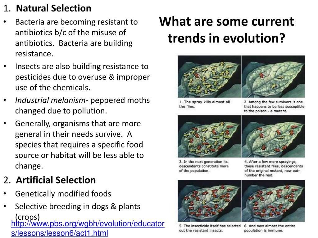 PPT Living things produce more offspring than will survive. There is variation among the