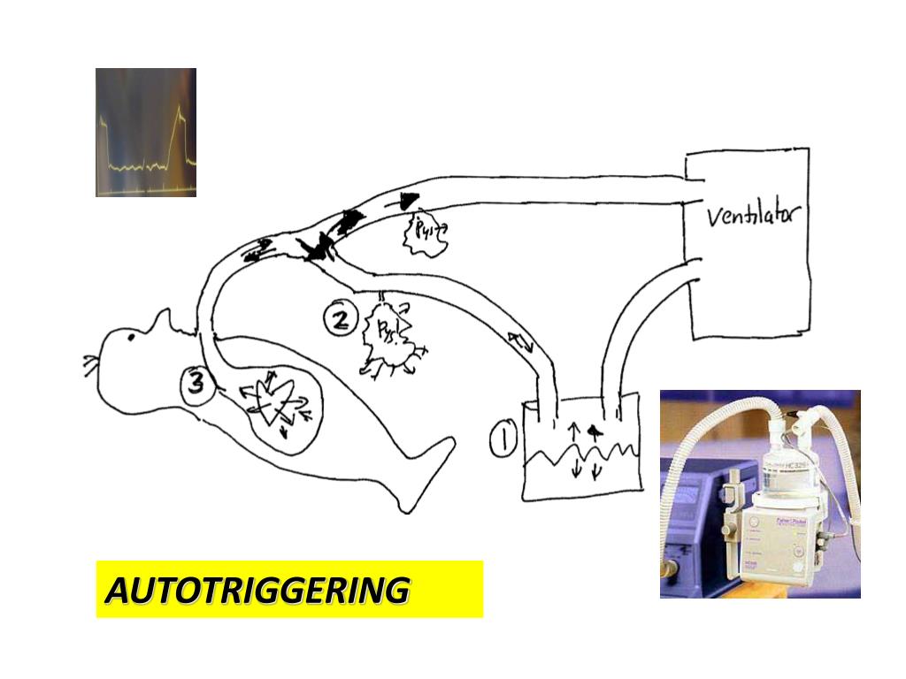 PPT - Gamla och nya ventilationssätt, hur är de olika och vilka ska vi ...