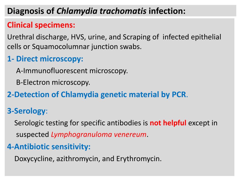 Текст песни хламидия. How to diagnoses Chlamydia. Chlamydia antibiotics of choice.