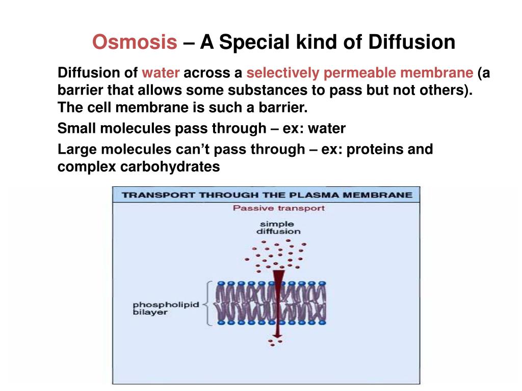 PPT OSMOSIS and DIFFUSION PowerPoint Presentation, free download ID