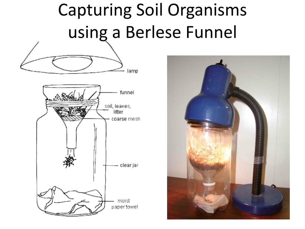 PPT Air is the breath of life, Water is the drink of life, Soil is
