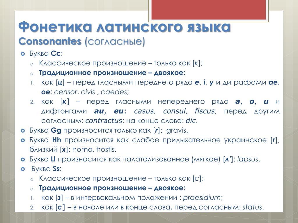 Произношение гласных и согласных звуков в латинском языке. Фонетика латинского языка. Латынь фонетика. Произношение согласных в латинском языке.