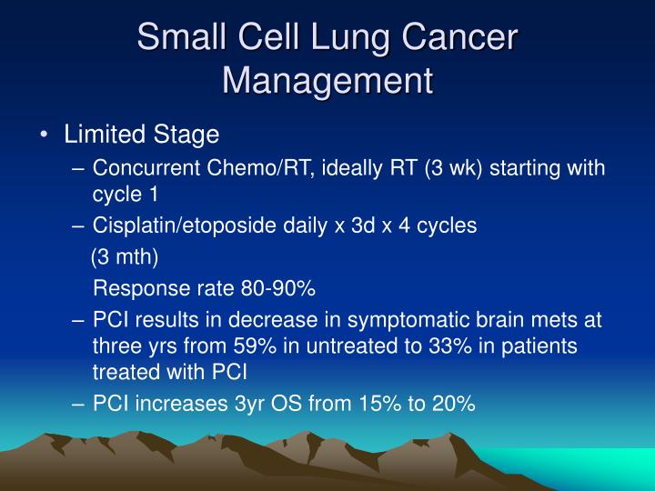 PPT “No Air” Management of Lung Cancer PowerPoint