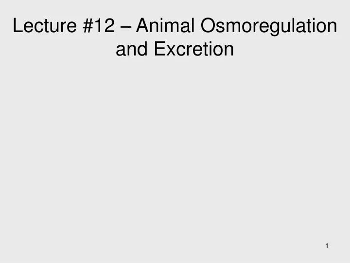 lecture 12 animal osmoregulation and excretion n.