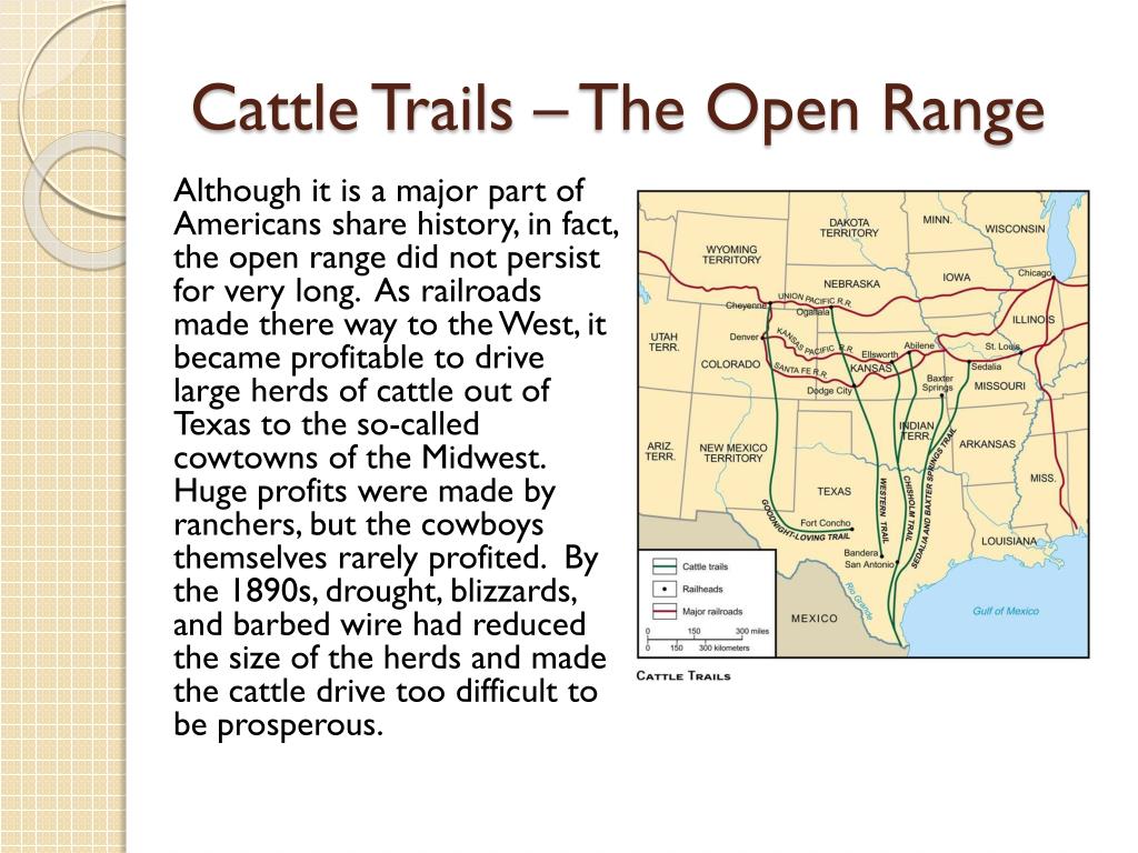when in texas history did cattle become big business when in texas history did cattle become big business