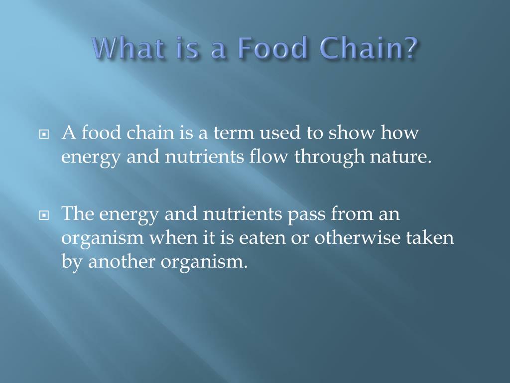 Think, Speak, Write Scratch Presentation: The Food Chain ... Biology Diagrams