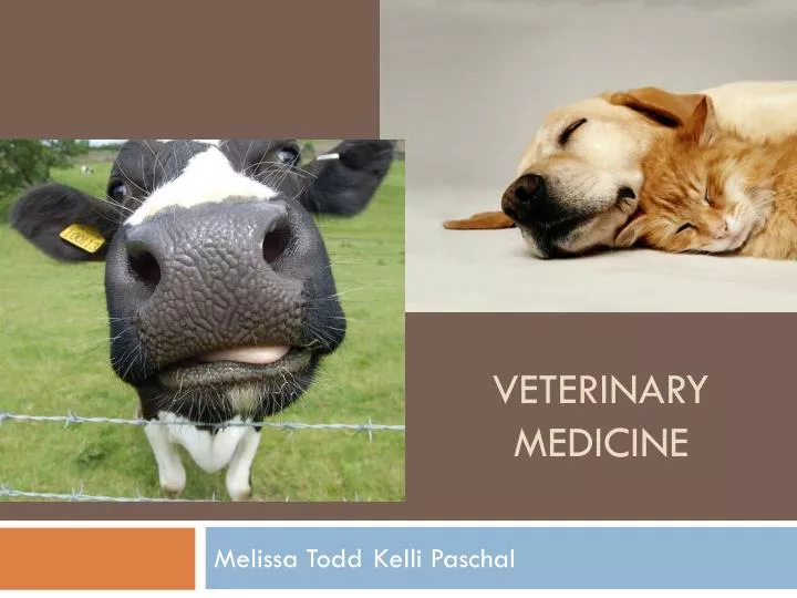 hot research topics in veterinary medicine