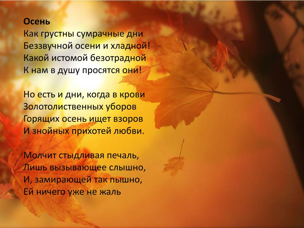 Какие стихотворения являются лирическими. Осенние стихи. Стихотворение про осень. Осень поэзия. Стих про осеннюю природу.