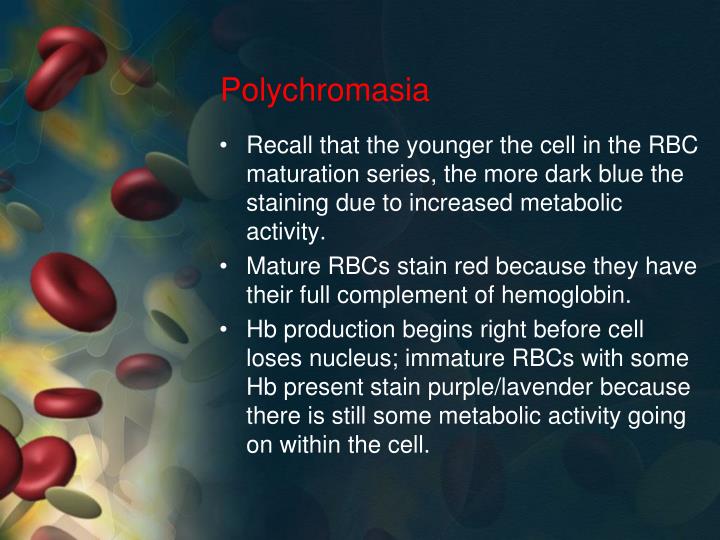 What Does Slight Polychromasia Mean PPT - Hematology PowerPoint Presentation - ID:3074089